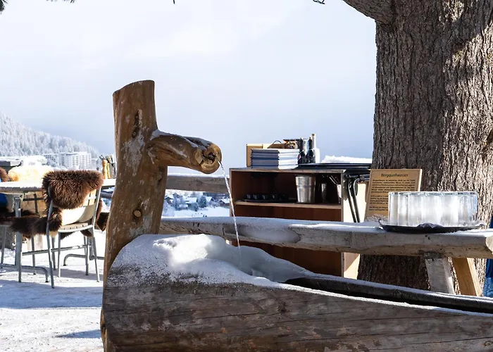 Alpenblick Bergrestaurant & Hotel